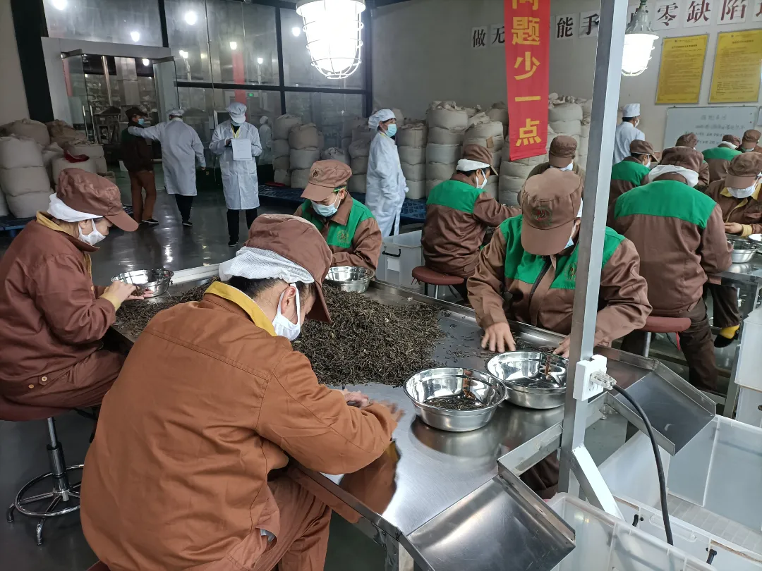 精益求精·鑄造品質(zhì)｜六大茶山第十四屆技術(shù)大比武圓滿完成